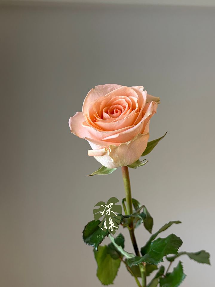 image_5F2097FE-D7E4-4B5A-AEB8-8F2D8546425A_1790575595