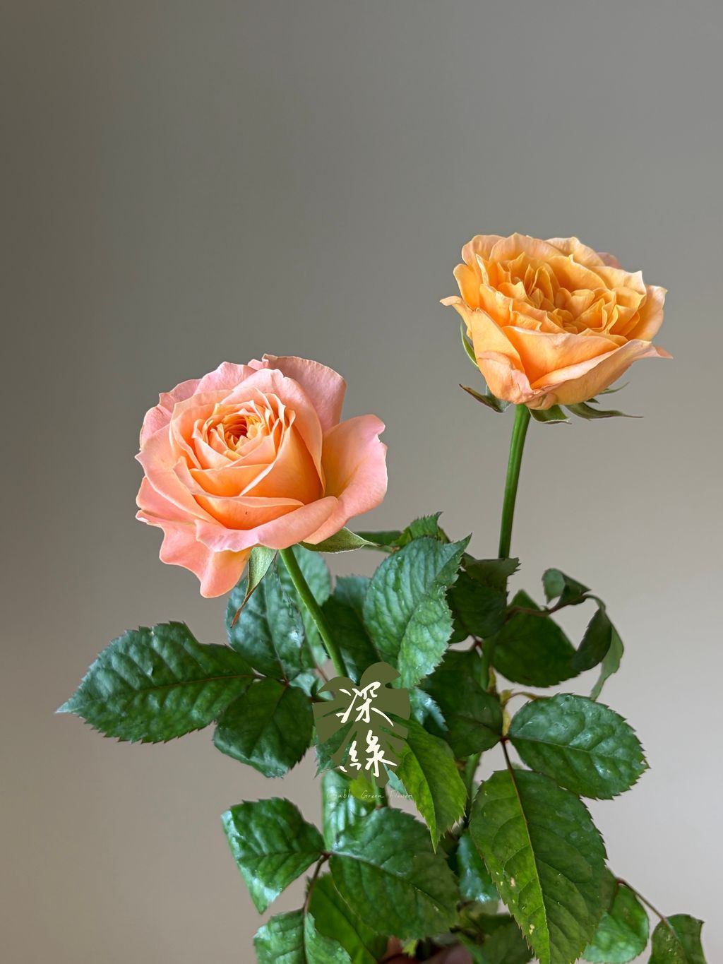 image_EBE621DD-5F99-46DF-8901-7B9BE51FE3E3_1790575728