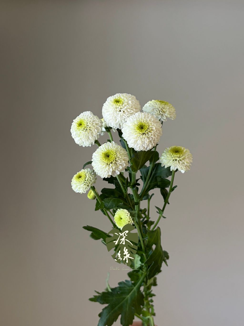 image_61A816A8-E109-46B8-A560-FFF8FA4CF4F4_1790578213