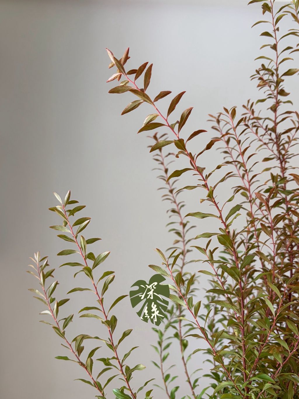 LINE_ALBUM_2026928_260928_28