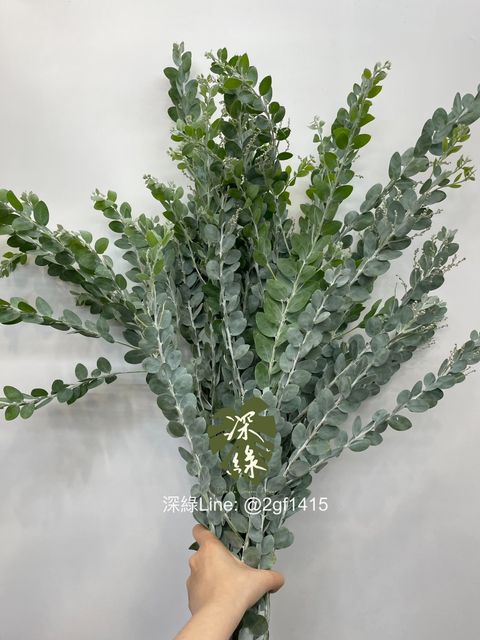 S__5398607