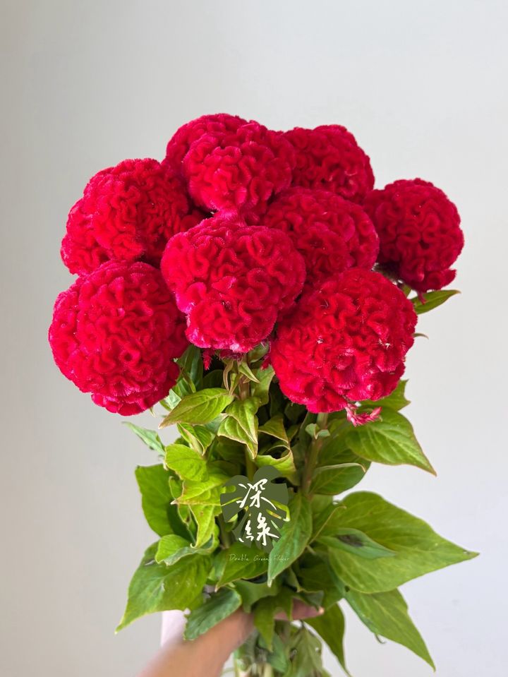 LINE_ALBUM_2026929_260929_4