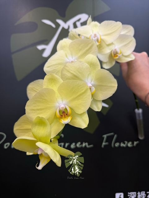 image_3AC58861-FB75-4DC6-B2DA-9D87161E6F68_1790743533