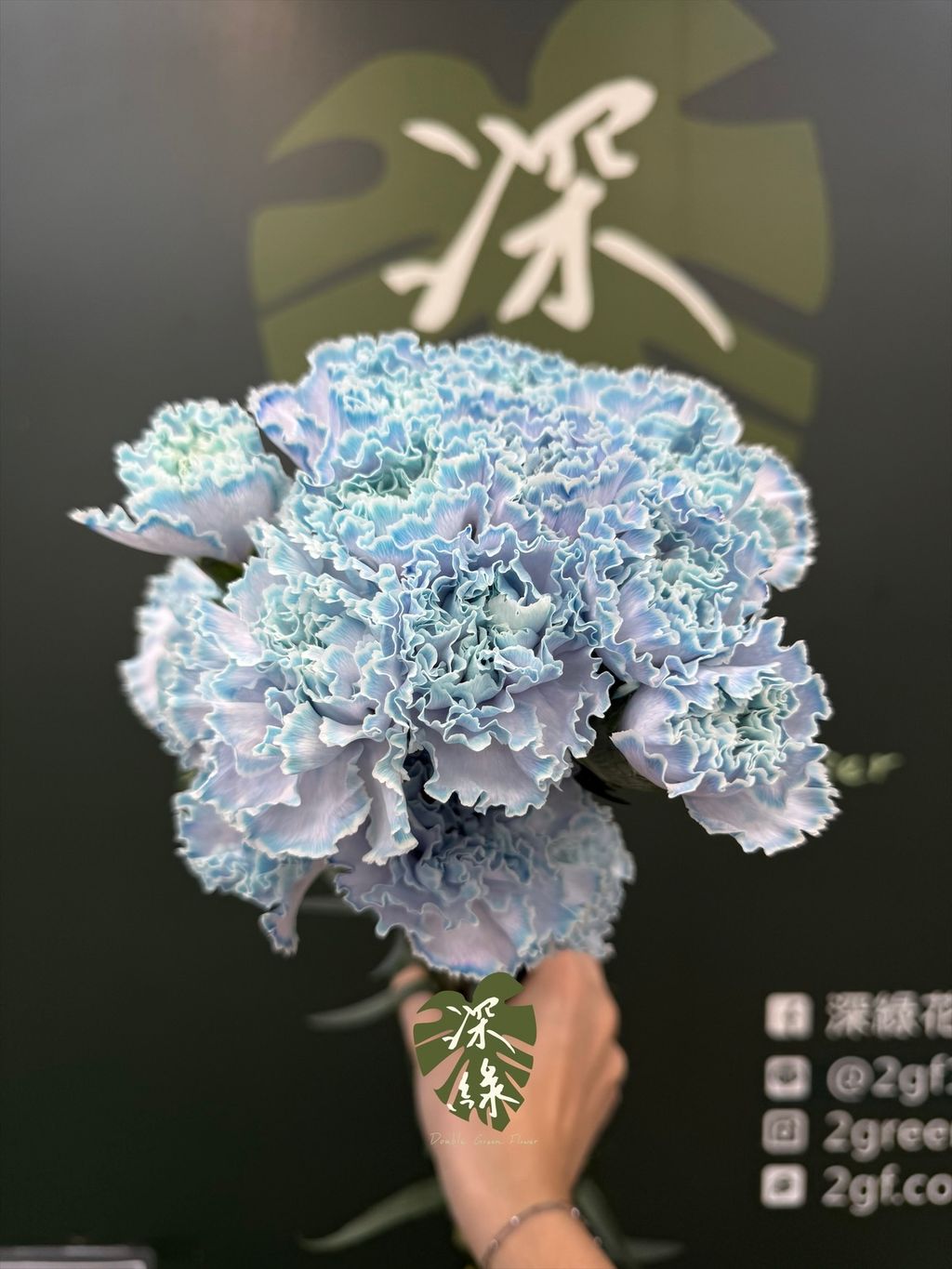 image_26B975CA-3A31-4425-8055-CBEA9635A028_1790743598