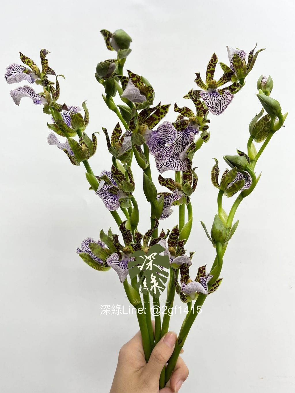 eZy Watermark_05-10-2024_09-07-54-1460上午-1728091088871