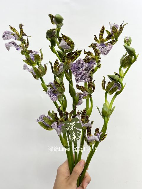 eZy Watermark_05-10-2024_09-07-54-1460上午-1728091088871