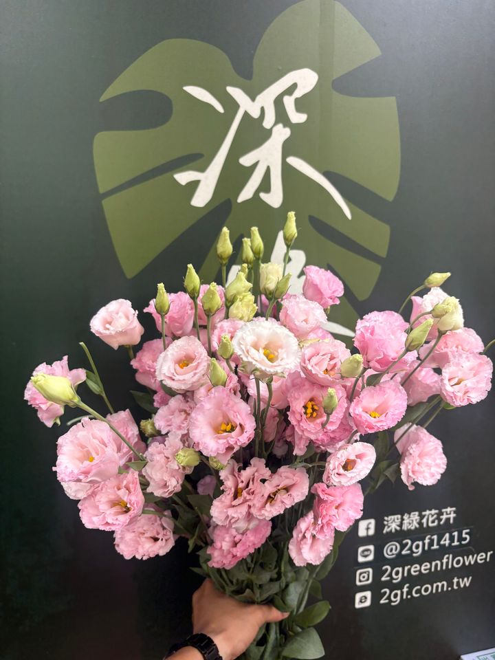 image_C84053D3-AA70-4C8D-985D-51C192AFC839_1791268215