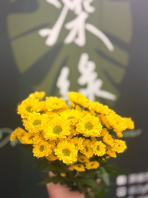 image_7C908BCE-CE39-4D25-B84C-522F55CD63B0_1791431269