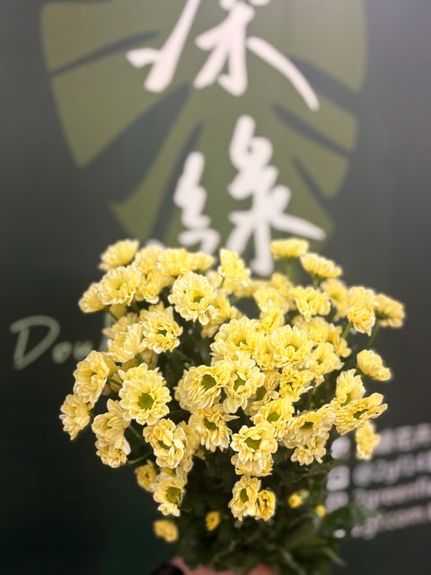 image_F3D8A65C-B905-4C1F-93A2-FB7053C587FA_1791489698