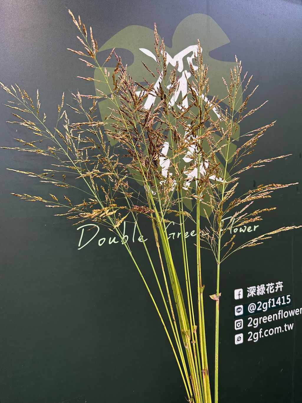 image_AD149387-32CA-4130-BA68-53790FFCB91F_1791679149