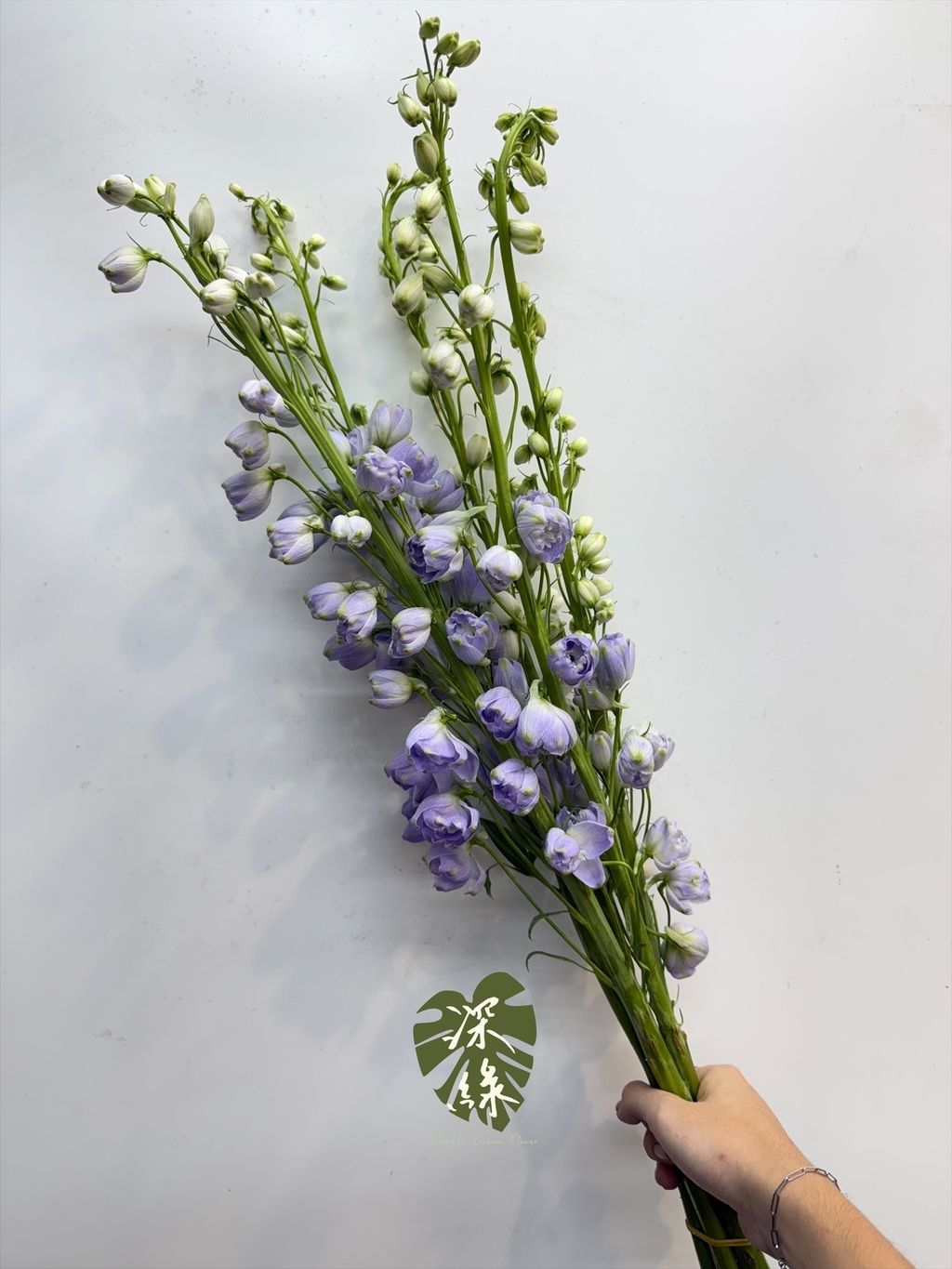 image_C39CF80C-7F51-46DD-8A8F-A0B4657852D0_1791680408