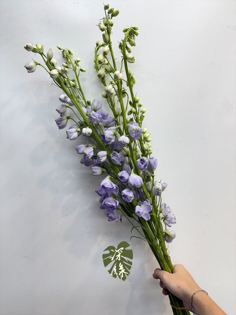 image_C39CF80C-7F51-46DD-8A8F-A0B4657852D0_1791680408