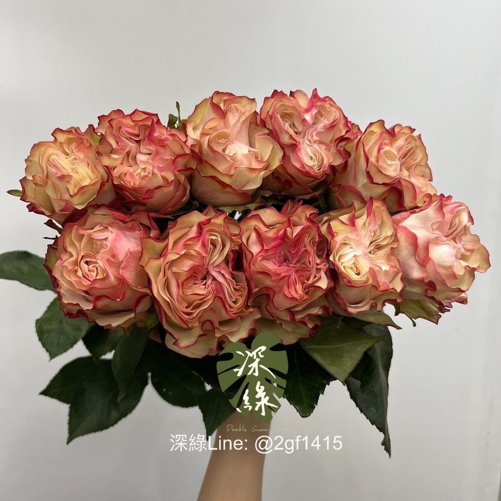 S__4890674