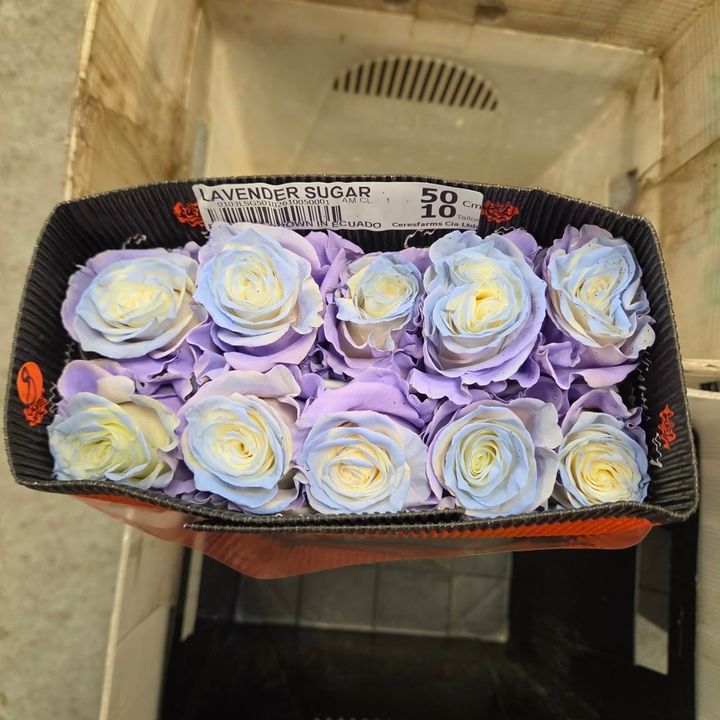 image_A4811CE3-3D94-46AB-AA6E-9B3D9B72CA87_1791693215