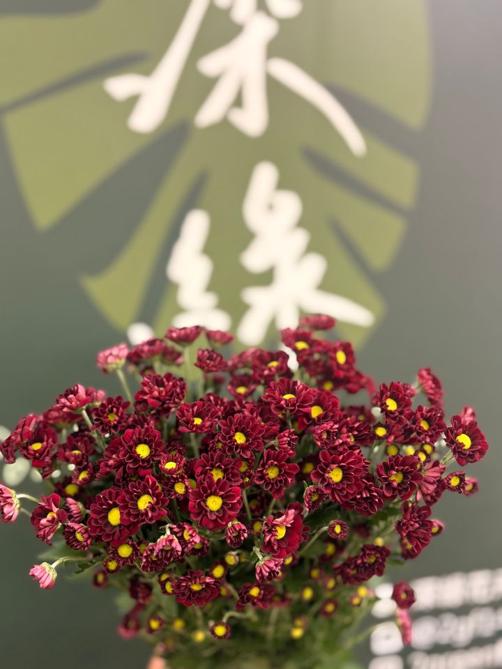 image_EB110807-54DF-4D5D-9194-19087A5DDCC4_1791431175