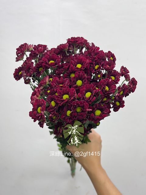 image_1AEBF4D6-ED44-45C6-8D3D-DF4220474ABB_1758685687