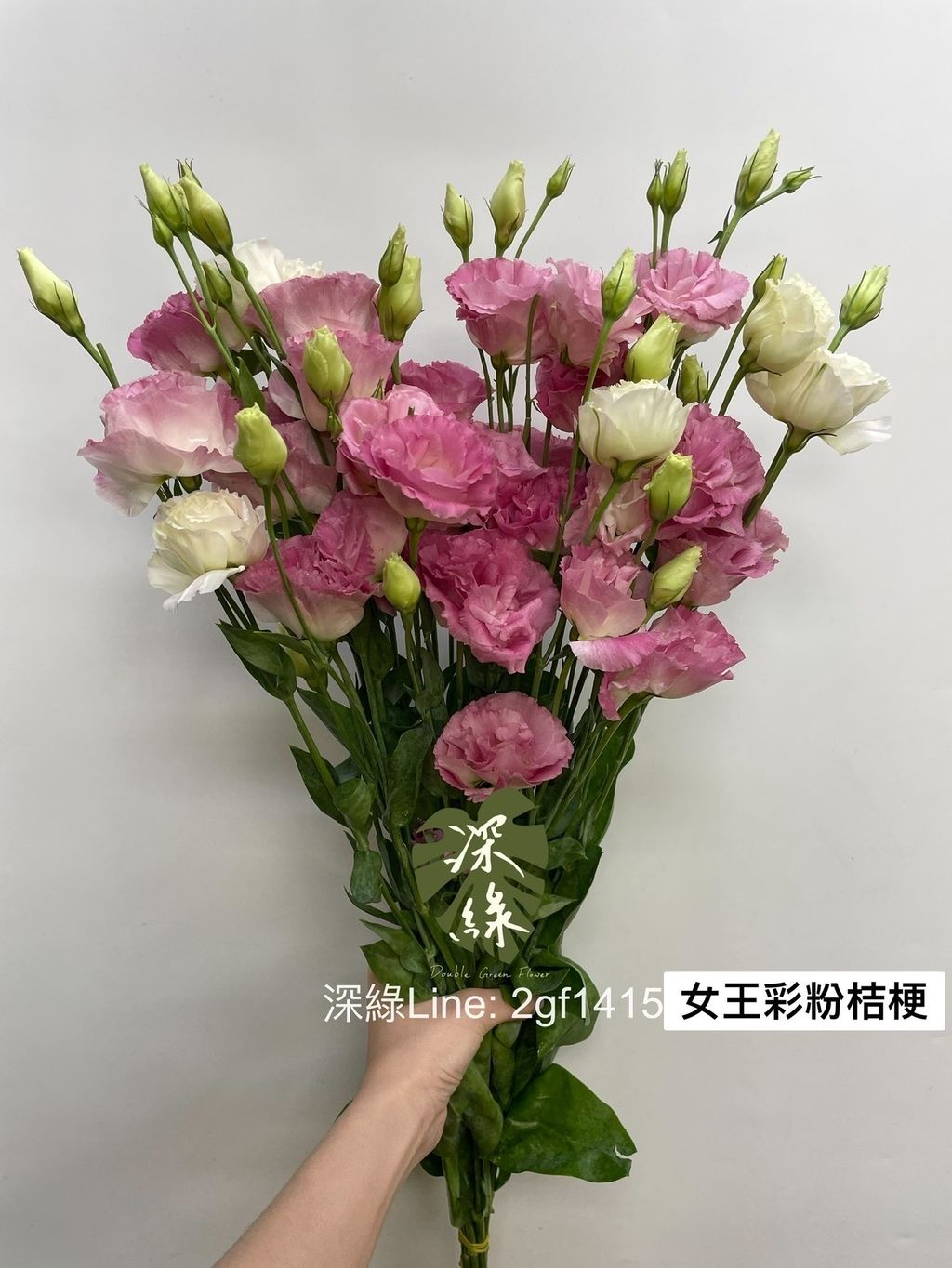 image_73CD4EA3-6AF3-4CEA-962A-E196C445D027_1746885268