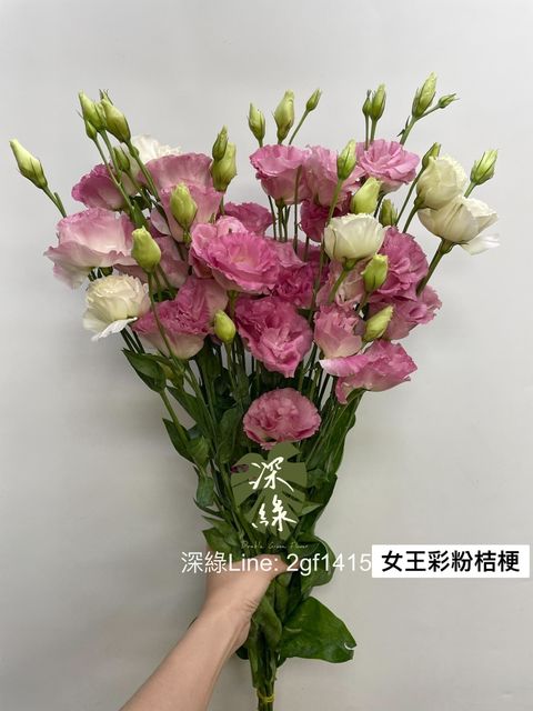 image_73CD4EA3-6AF3-4CEA-962A-E196C445D027_1746885268