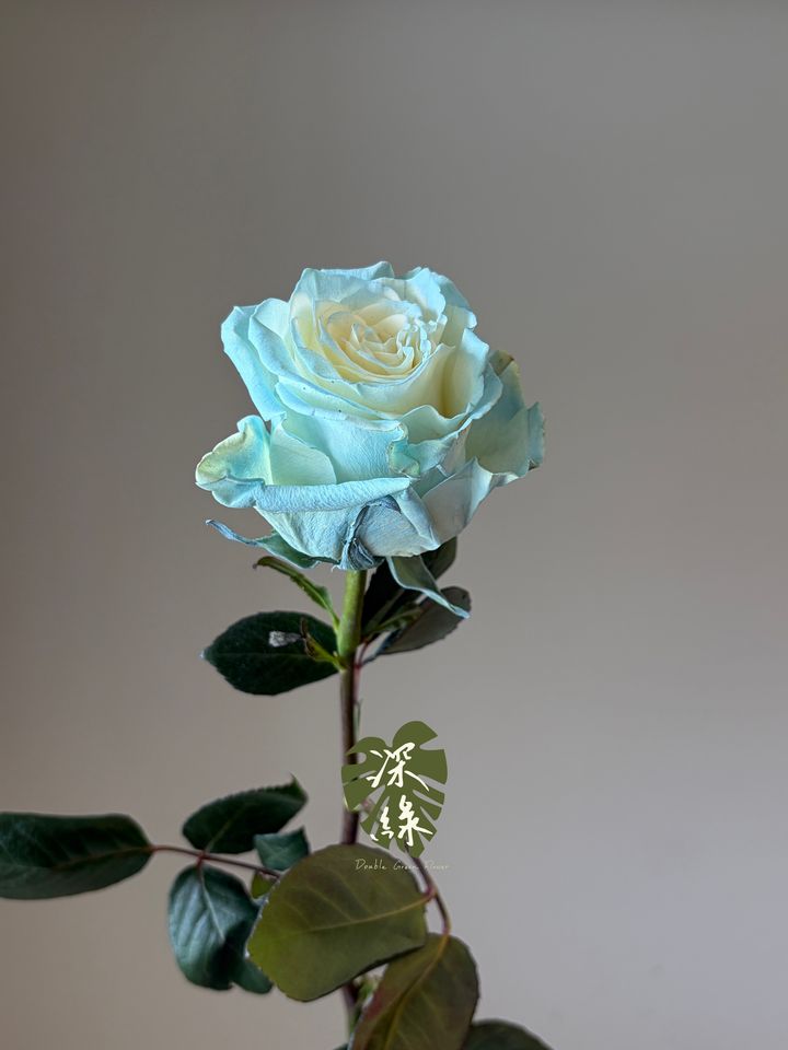 image_B0AD612F-2AA1-4E01-87AF-E4DF5EF34206_1791787972