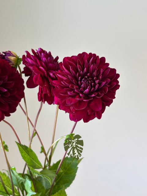 image_6B9DF26C-E1A5-4211-BD89-134F0928021C_1791802894