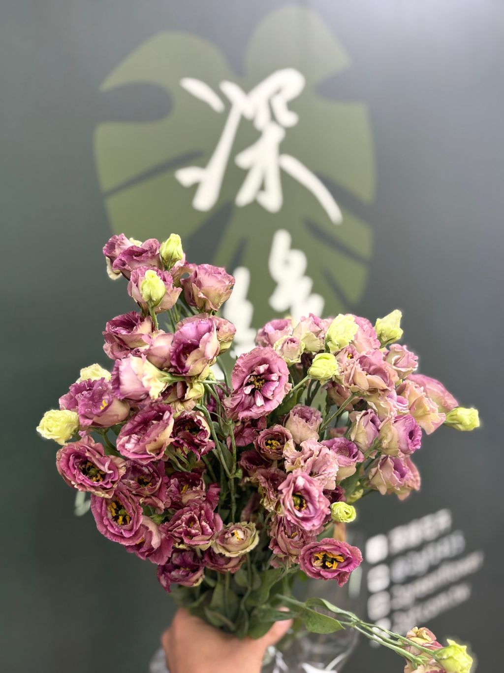 image_0BEFABA9-C434-49DA-85A2-95D03FF03381_1791861049