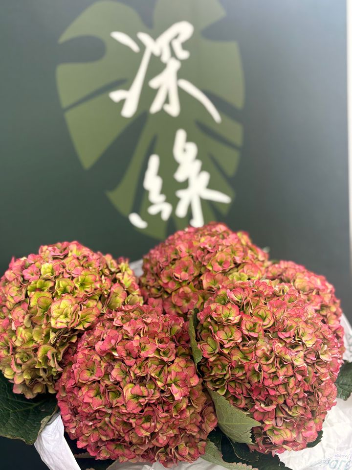 image_C1AB845D-5F03-4483-83D0-1426C14DAC5F_1791864385