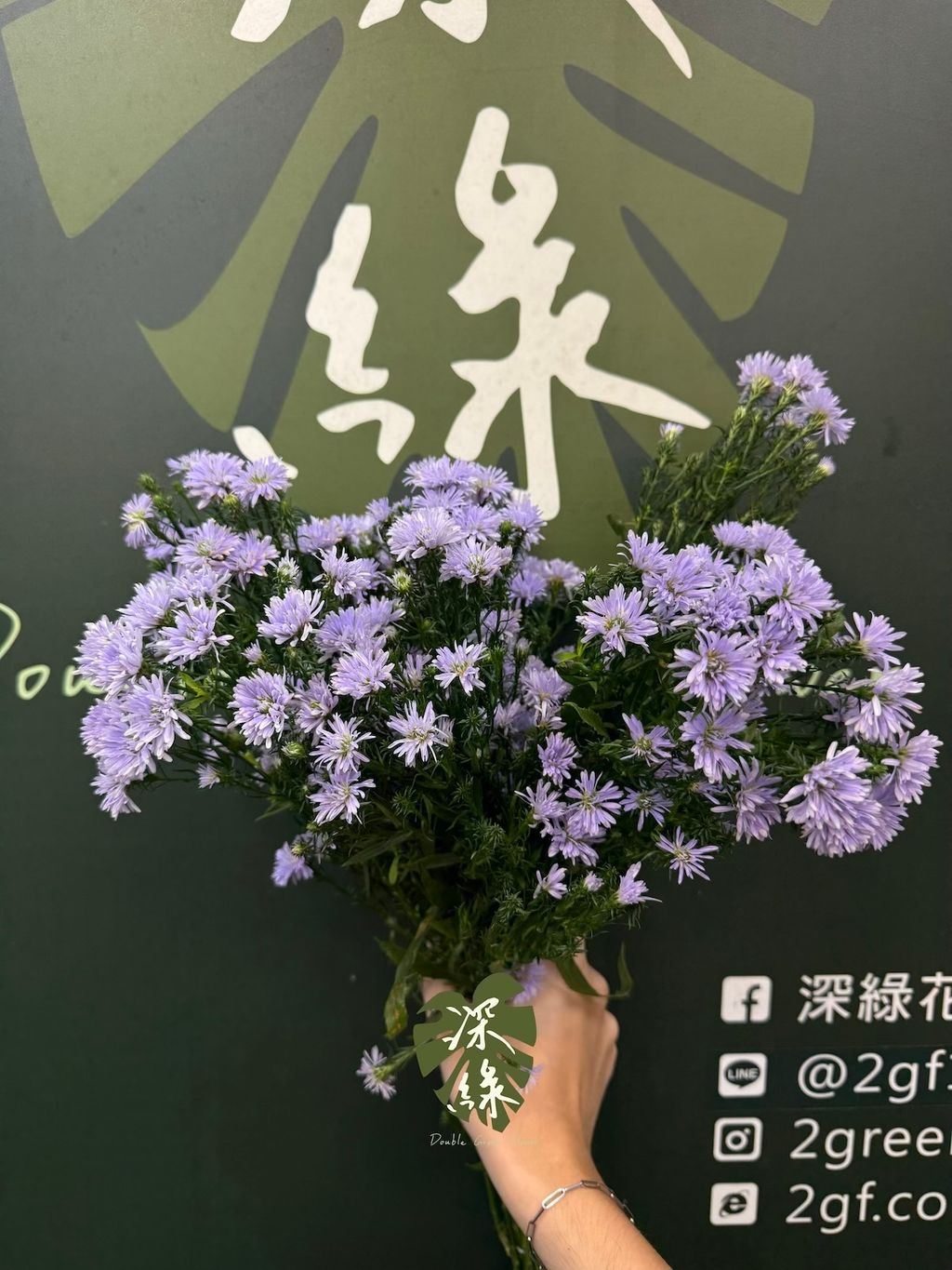 image_74825E3A-3900-462B-AA9D-1E5DC99093CF_1791945410