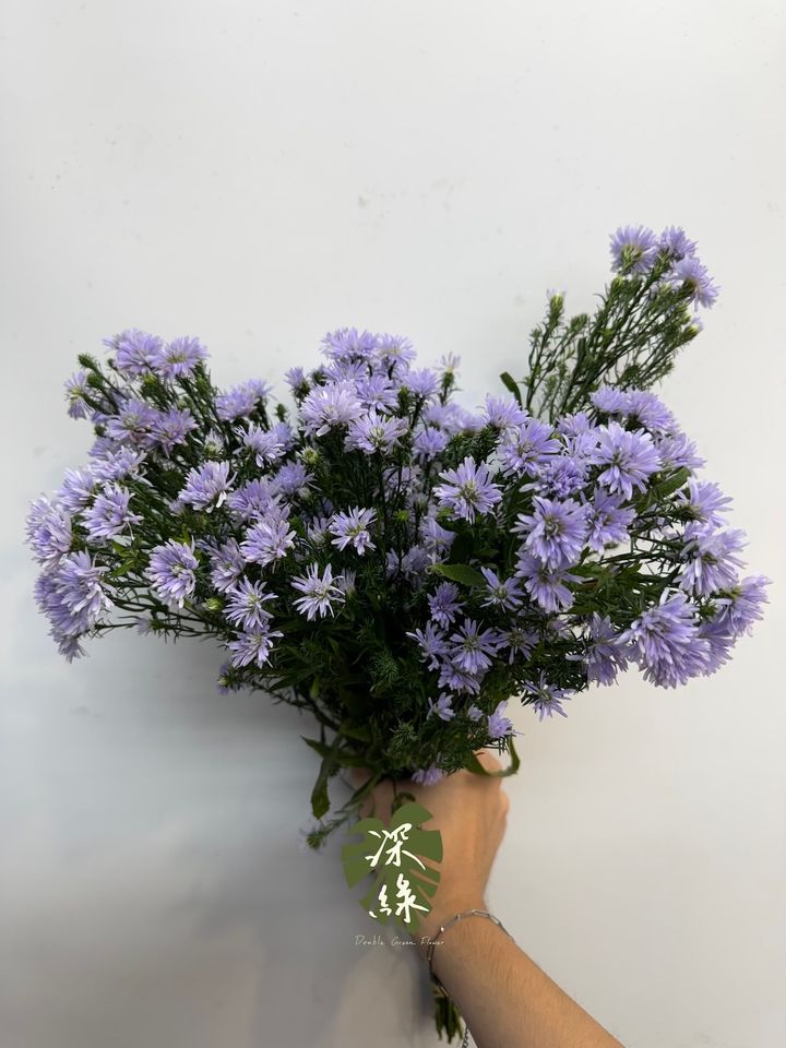 image_8052DF7F-7000-4D44-B5F1-EE92CD3ADC55_1791945410