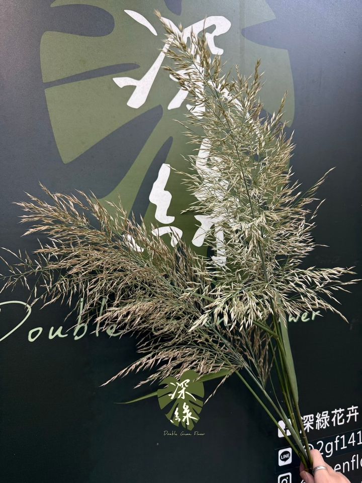 image_2B9CD14F-854A-4A3D-A2A3-9B9ABCE08F9C_1792028843