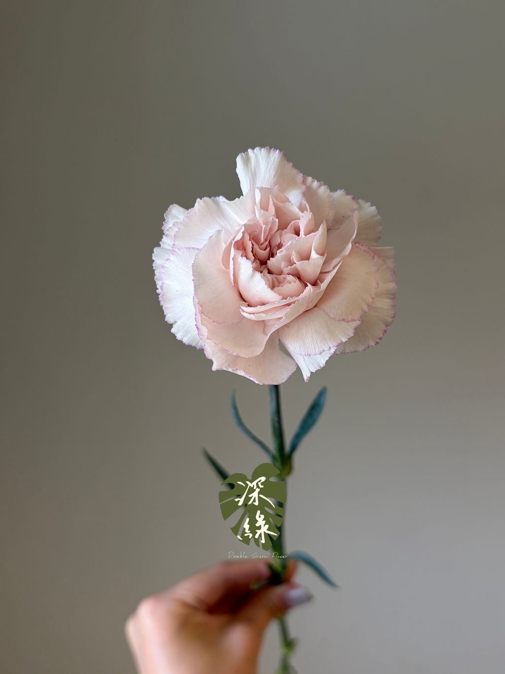 image_2D547FC4-DAA8-48D8-AD89-9CC9173F1C71_1792135910