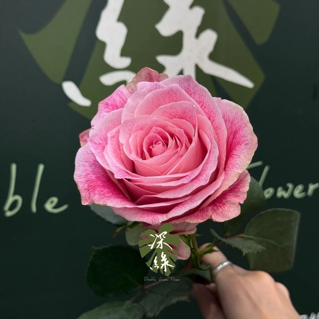 messageImage_1792330992099