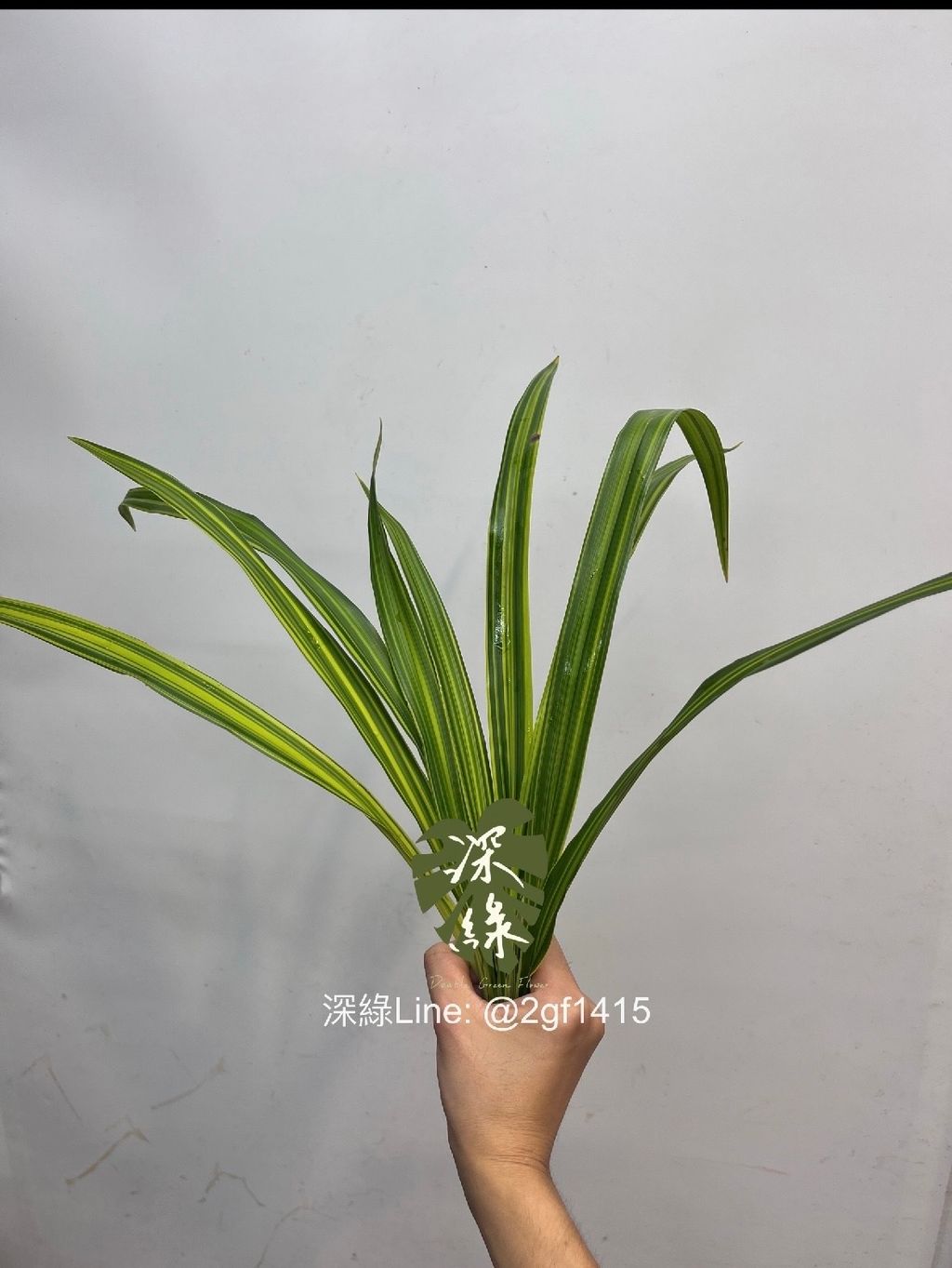 image_0C5F3A4D-04A3-4681-BE43-A4F8DCF1EBEF_1792397200