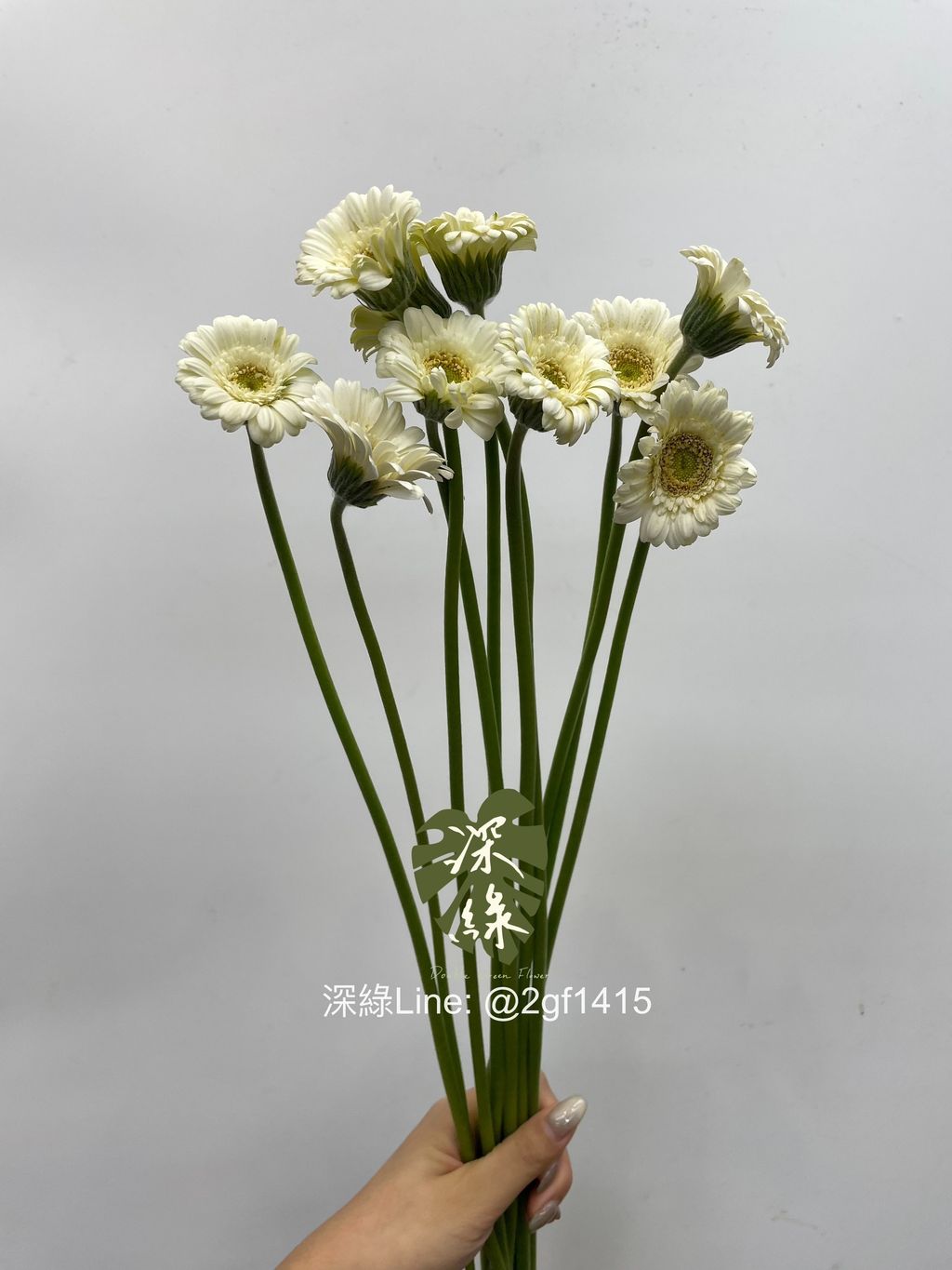 eZy Watermark_07-08-2024_01-27-15-8880下午-1723008556734