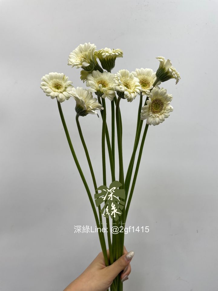 eZy Watermark_07-08-2024_01-27-15-8880下午-1723008556734