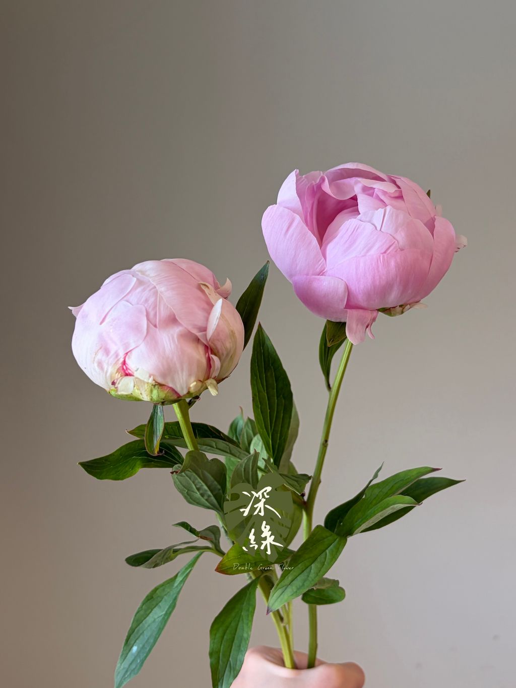 image_B15ACB58-5562-4CF5-8CC1-316CEF6BAF46_1792497131