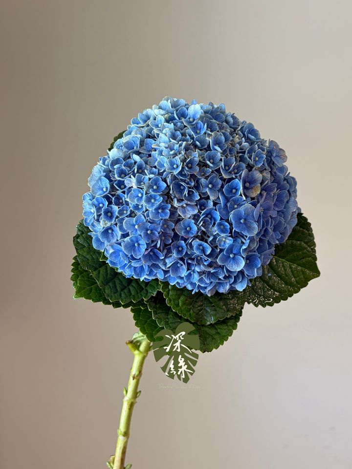 image_E62DB75D-85C3-45F8-A1D7-E4080EB8F12E_1792497285