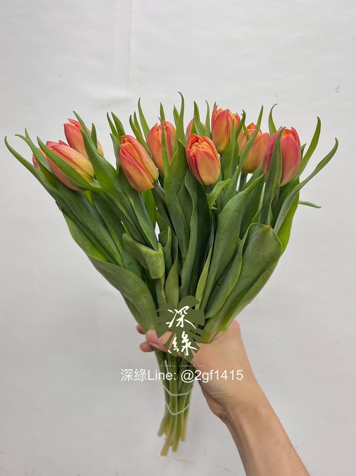 image_88928E1F-0C80-45A0-852E-1814FEC39C91_1759724165