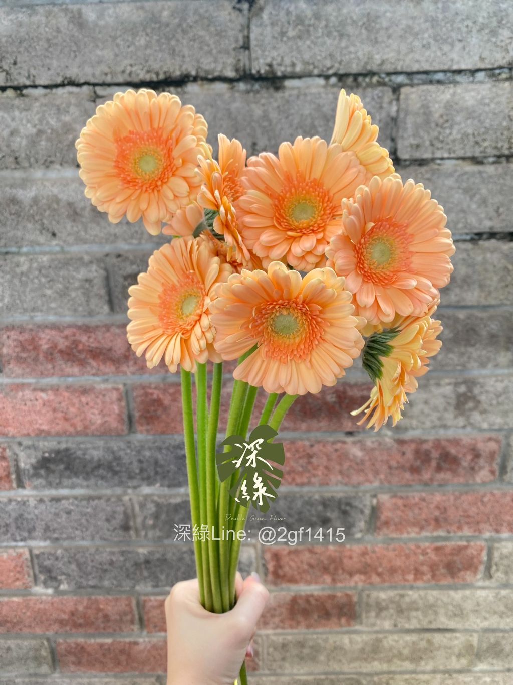 S__48922645_0