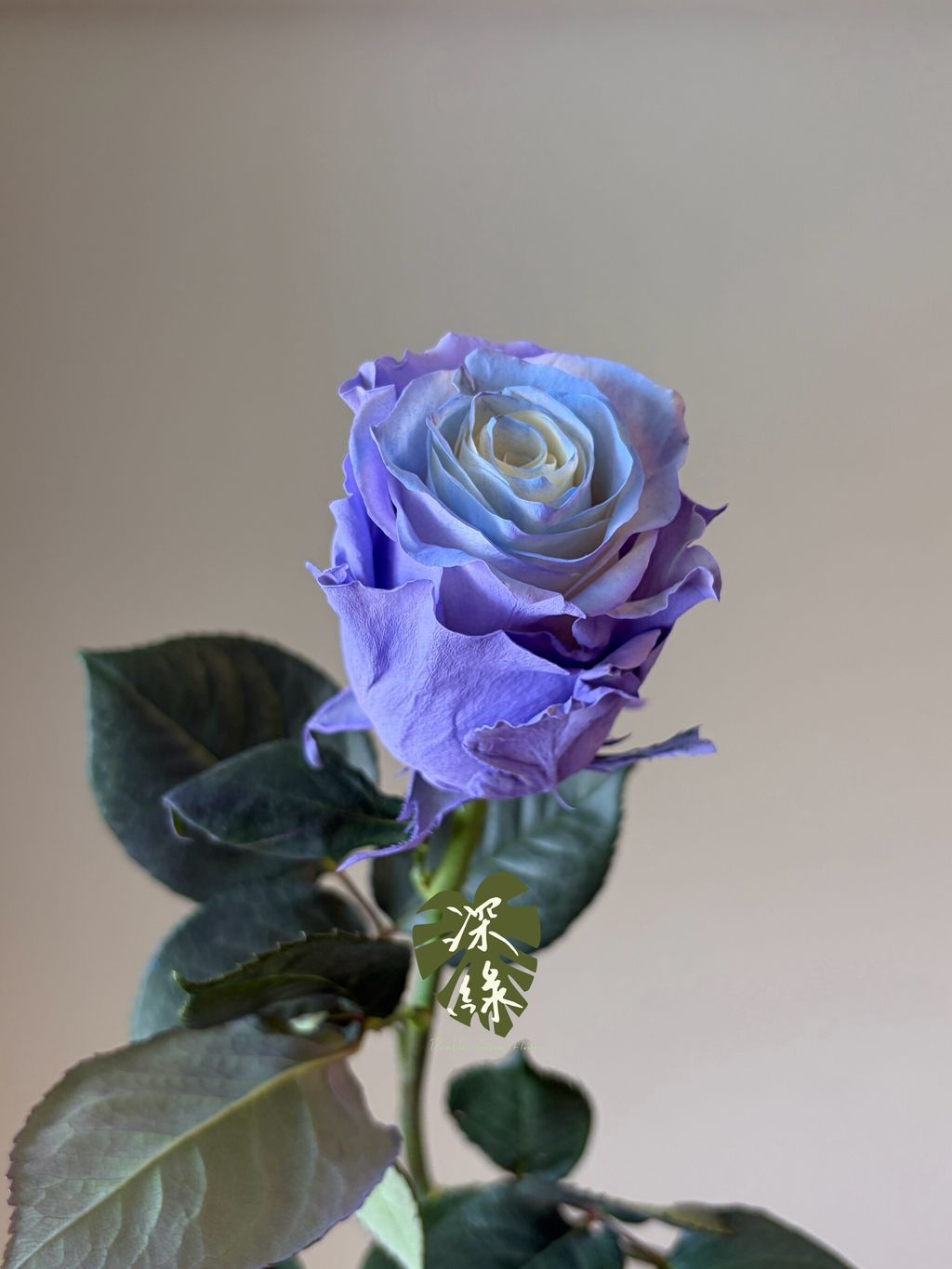 LINE_ALBUM_20261026_261026_2