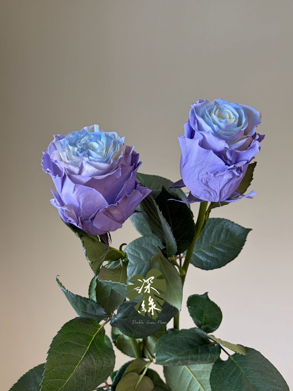 LINE_ALBUM_20261026_261026_3
