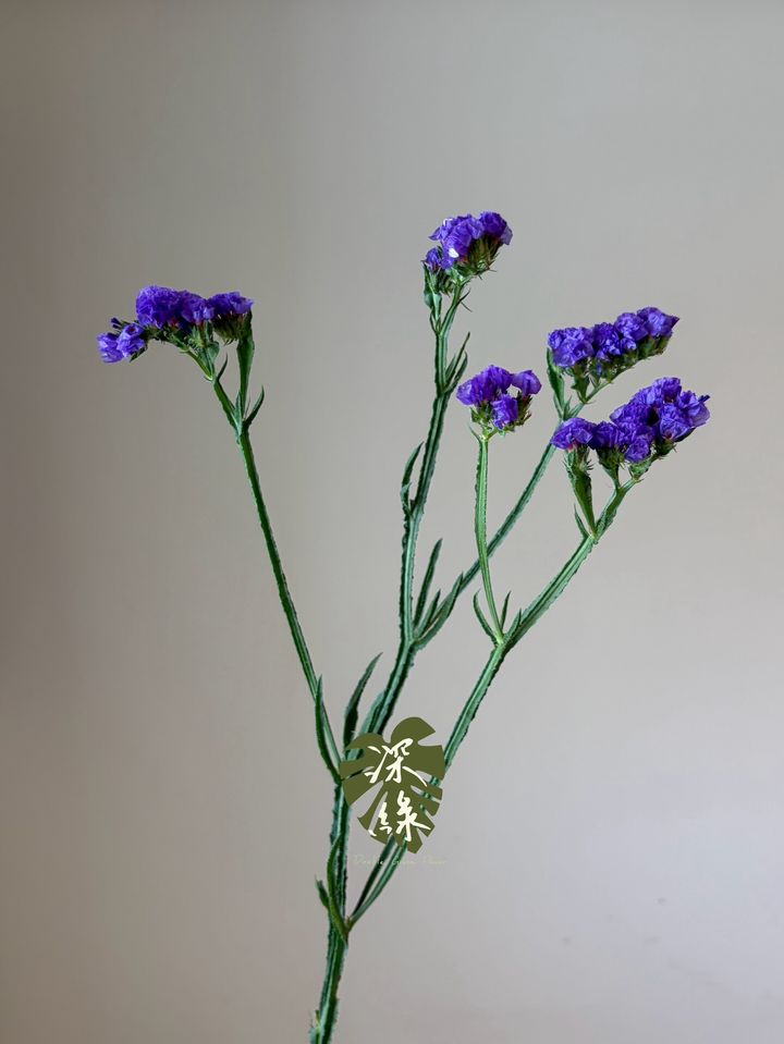 LINE_ALBUM_20261026_261026_21