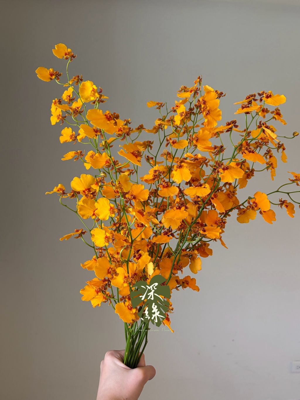LINE_ALBUM_20261026_261026_38