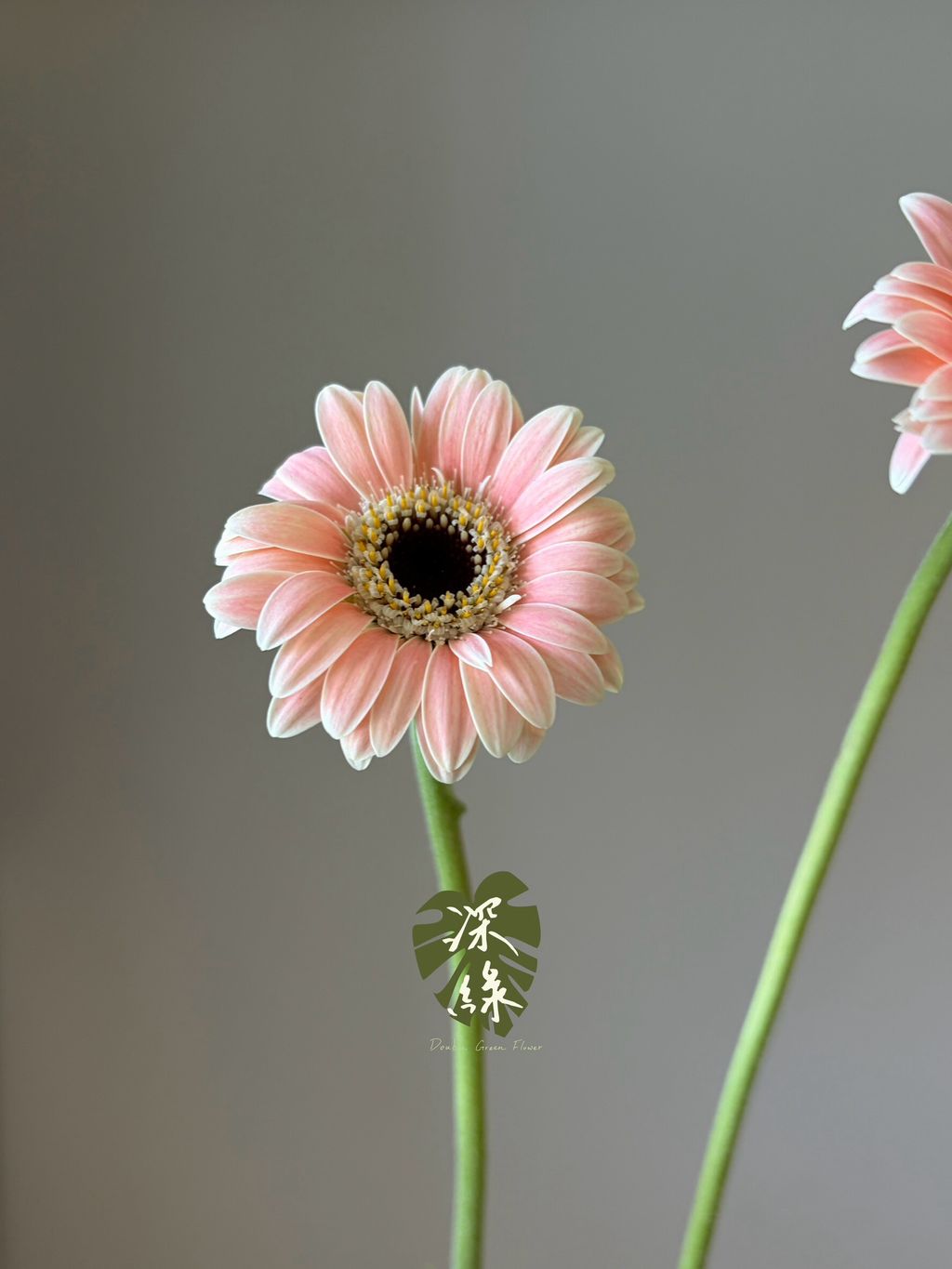 LINE_ALBUM_20261026_261026_46