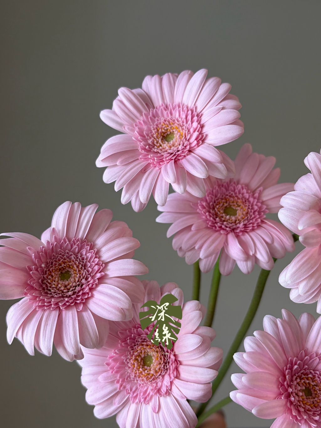 LINE_ALBUM_20261027_261027_29