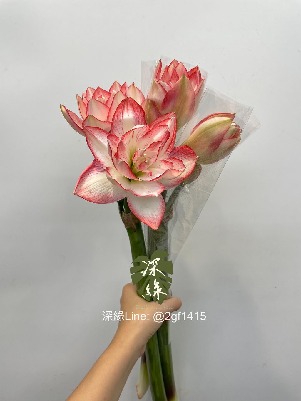 eZy Watermark_04-09-2024_12-32-55-0150下午-1725424467657