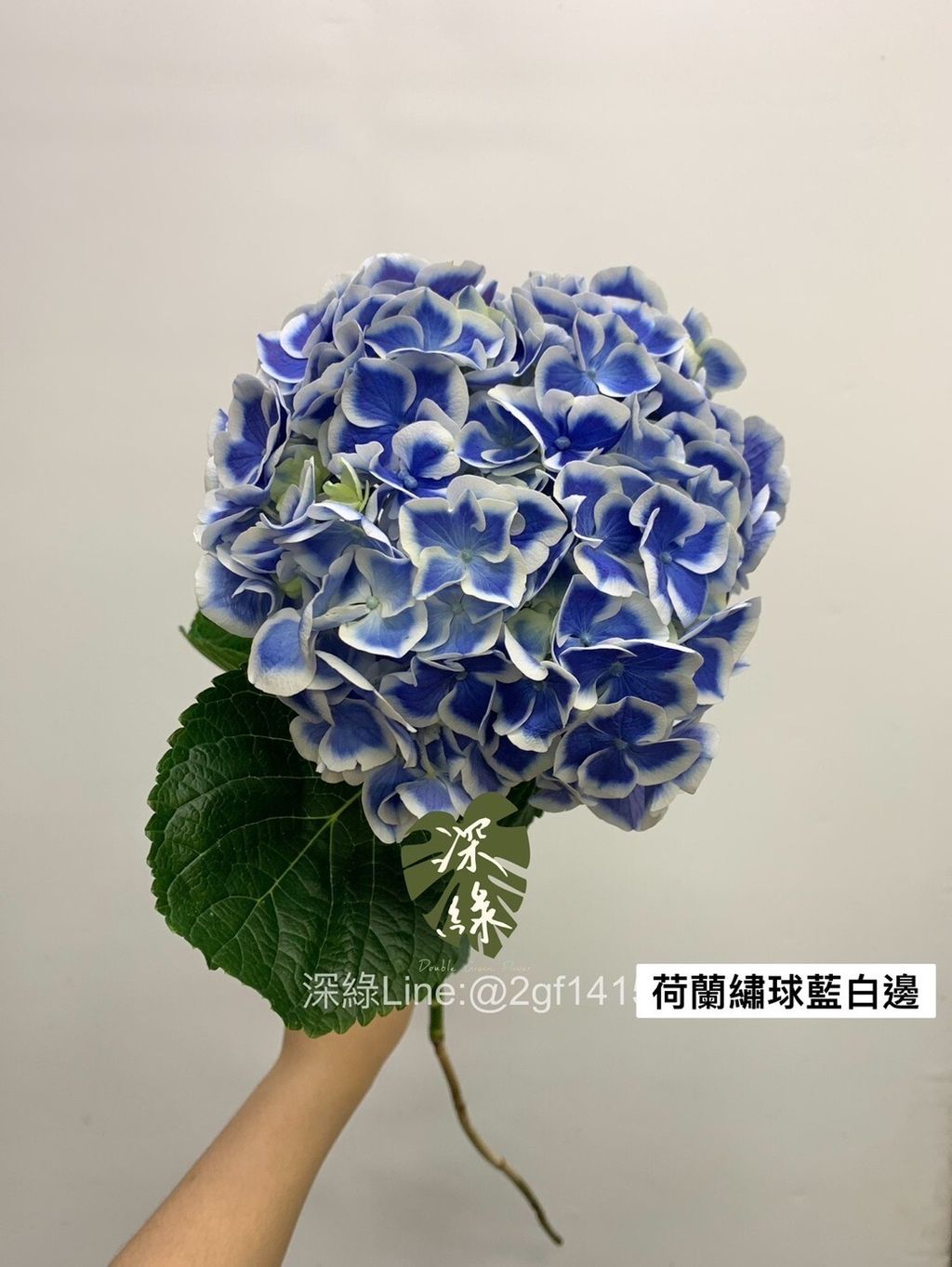 a48541d11d71a68b6615ddf3cb74facf2e187162