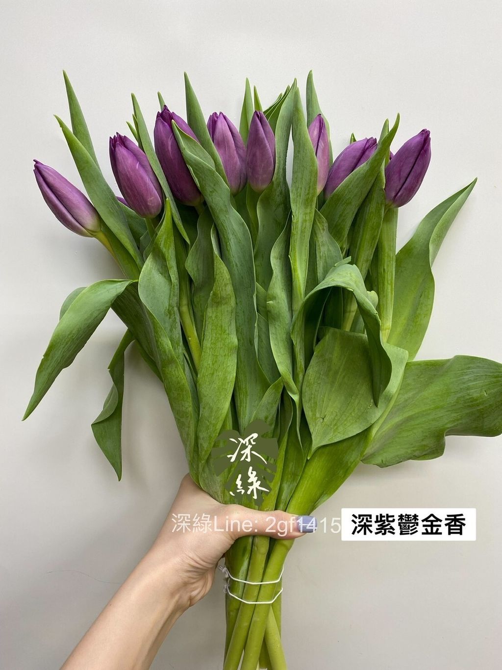 930eeba4c07017da2ae816ffa11d7a9b9c330fd6