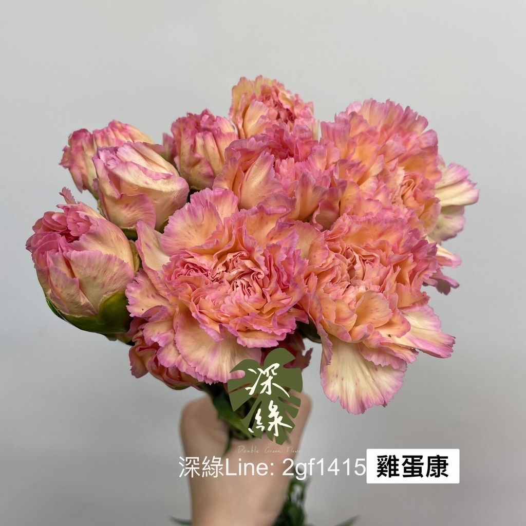 d85d7560333c14d1ce7f7bf1ef491ec6d3dd9b61