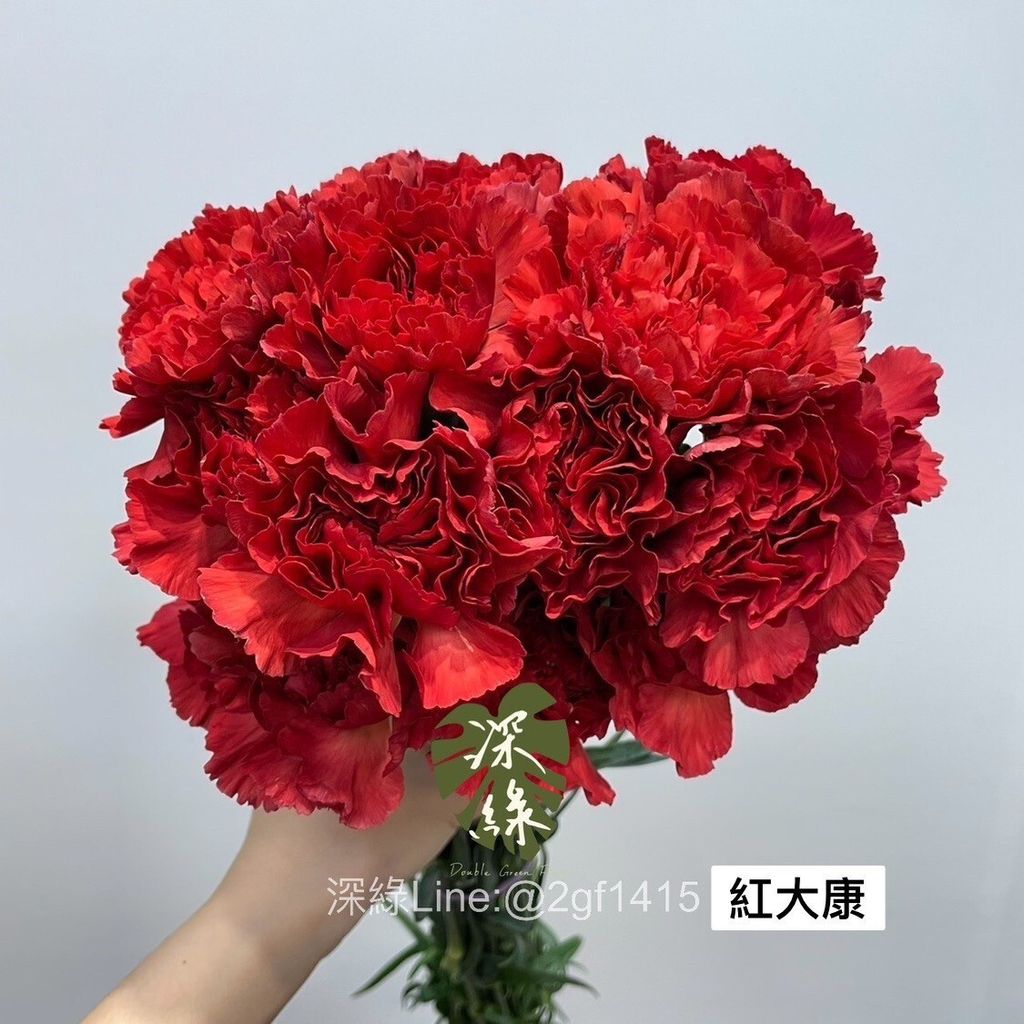 22c8fd5a191ef84465da7c359f9b7e9ae81c9919