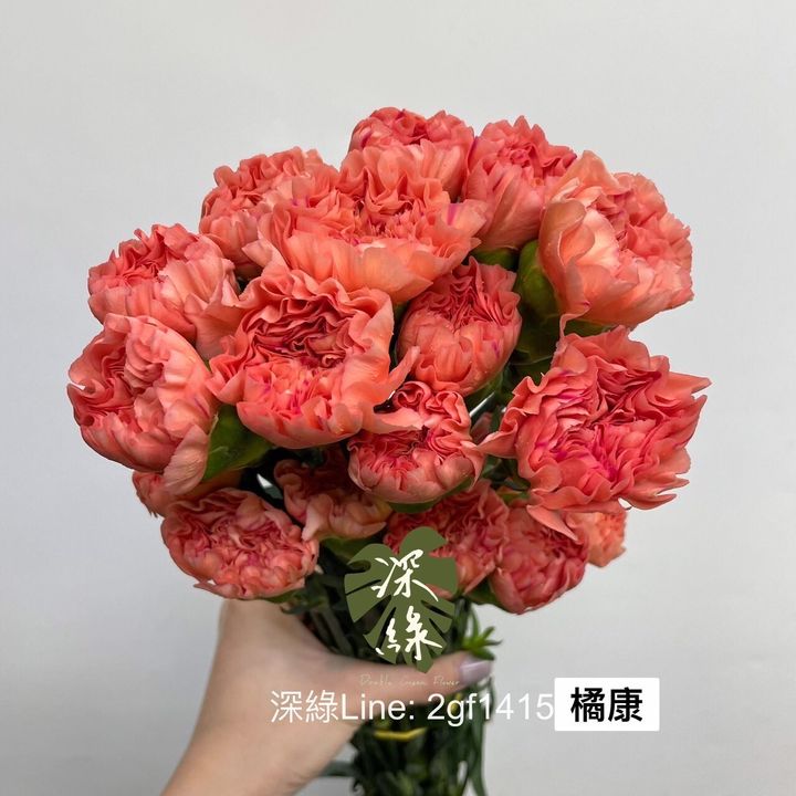 5f2bcc2c5247ec53d1acc603ffe2ca0f06b67e51
